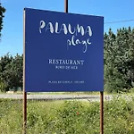 Palauma * סארי סולנזארה