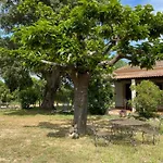 בית נופש Palauma