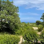 Palauma *
