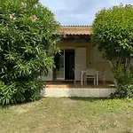 Palauma *