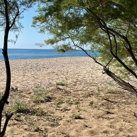 Palauma 펜션