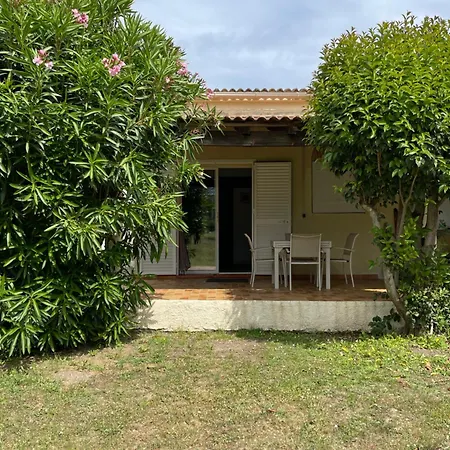 Palauma *