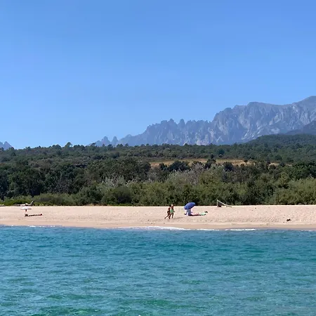 Palauma בית נופש