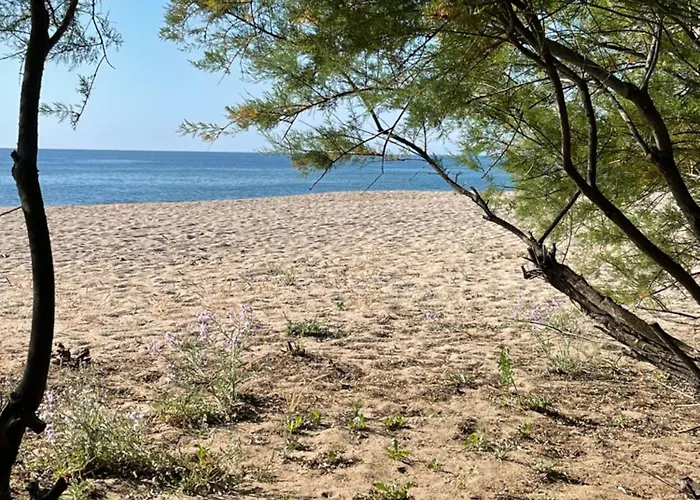 Palauma בית נופש