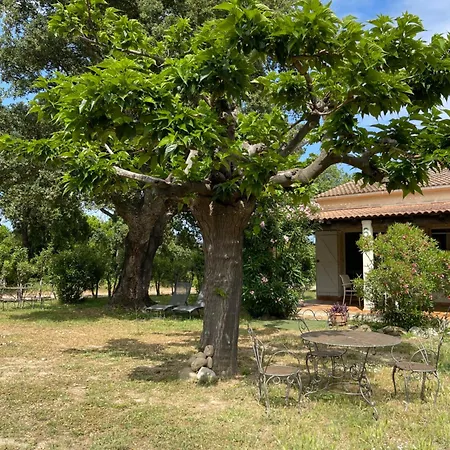 بيت للعطل Palauma