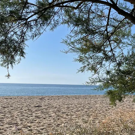 Feriehus Palauma Sari-Solenzara