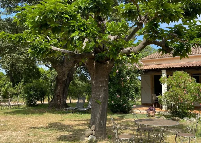 בית נופש Palauma