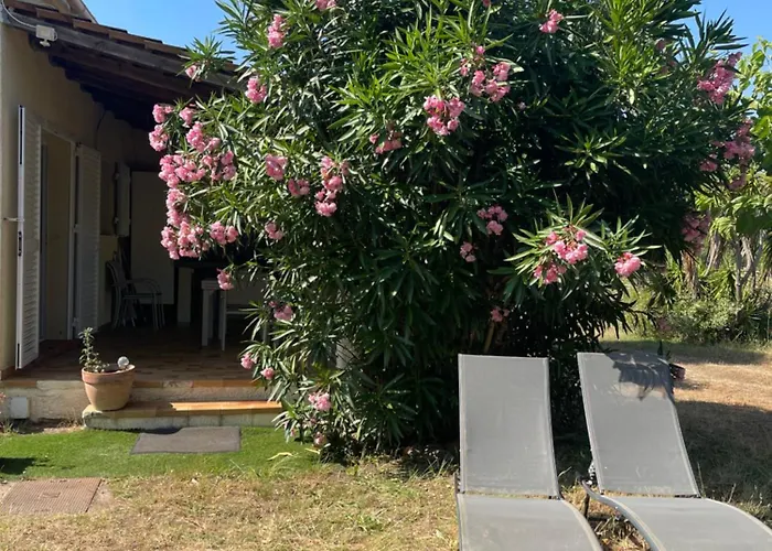 Ferienhaus Palauma Sari-Solenzara