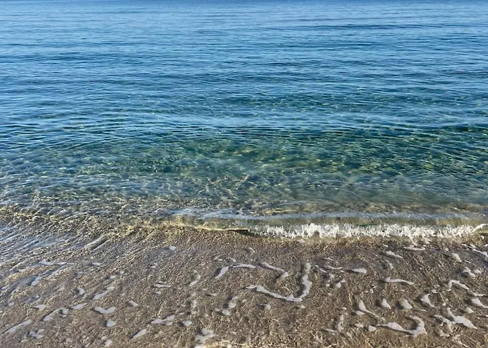 Palauma * סארי סולנזארה