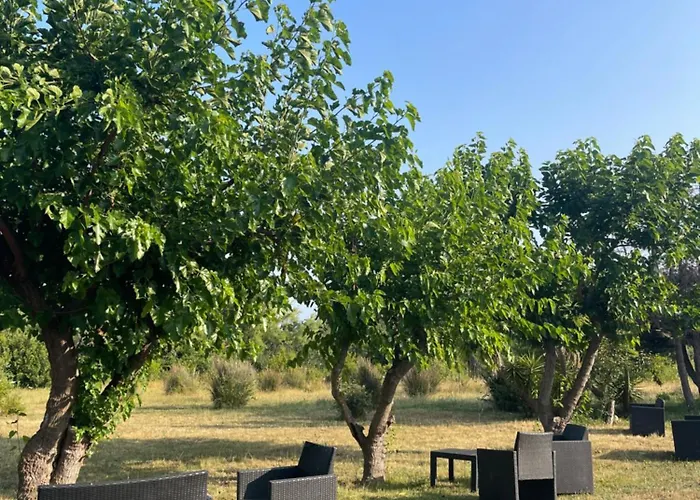 Palauma * סארי סולנזארה