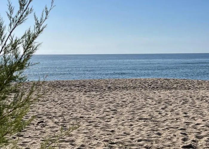 Palauma Prázdninový dům